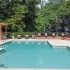 Main picture of Condominium for rent in Carrboro, NC